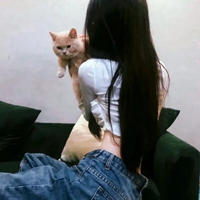 赌圣 在线观看